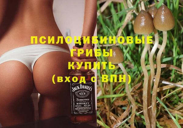 хмурый Алексеевка