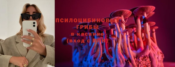 хмурый Алексеевка
