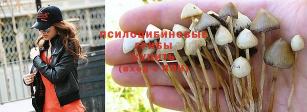 хмурый Алексеевка