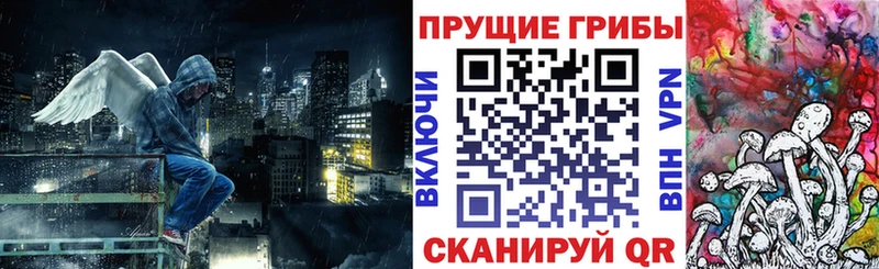 Псилоцибиновые грибы Psilocybine cubensis  mega сайт  Куйбышев  закладка 